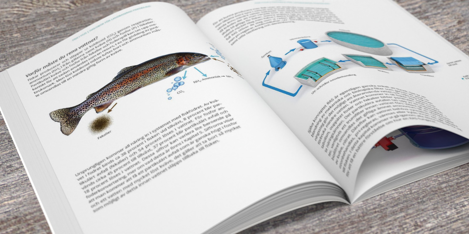 handbok_i_landbaserad_fiskodling_bok_uppslag_3d_illustration_didacta hej svej